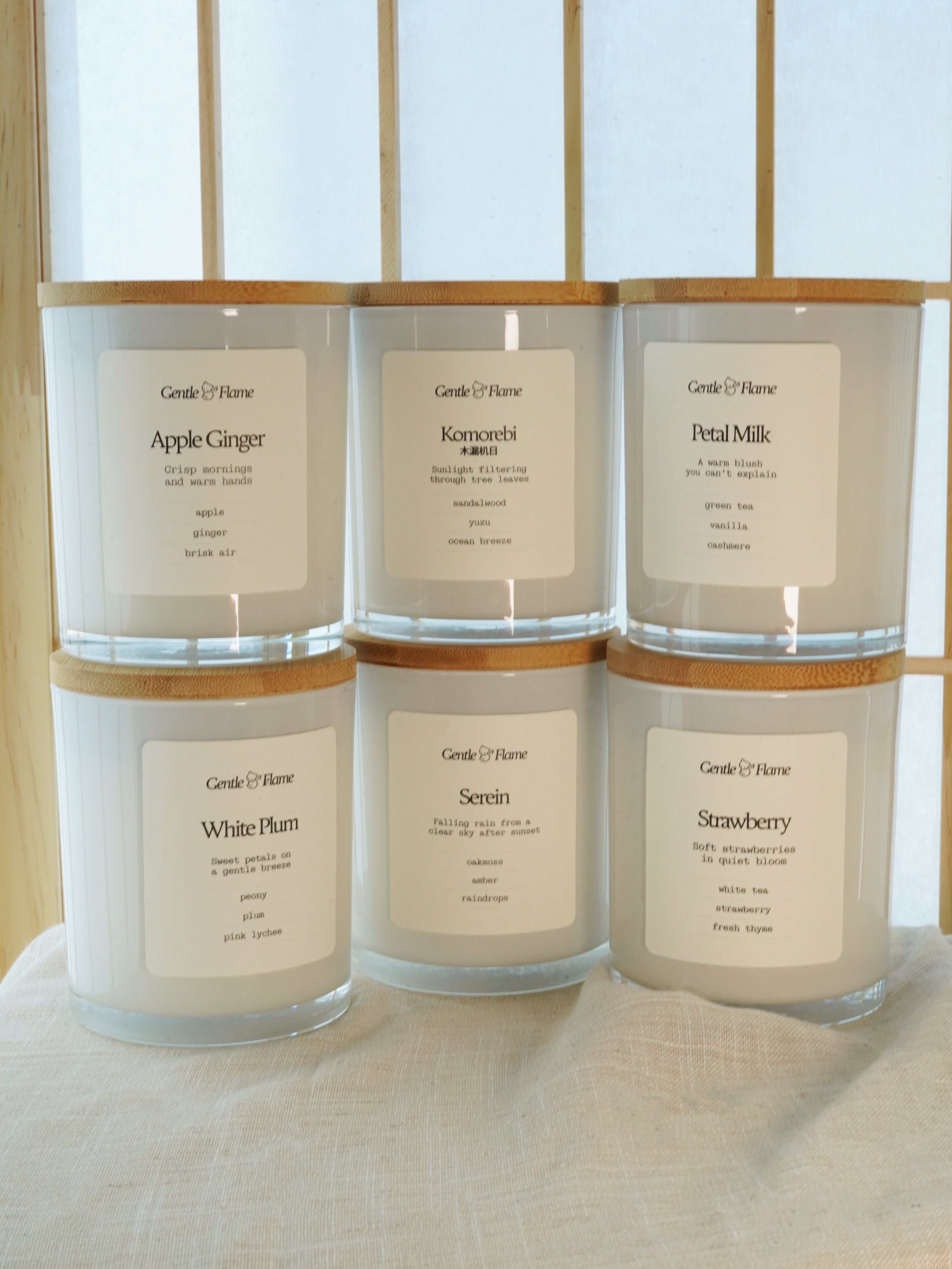 Signature Collection ⭐ Save $25