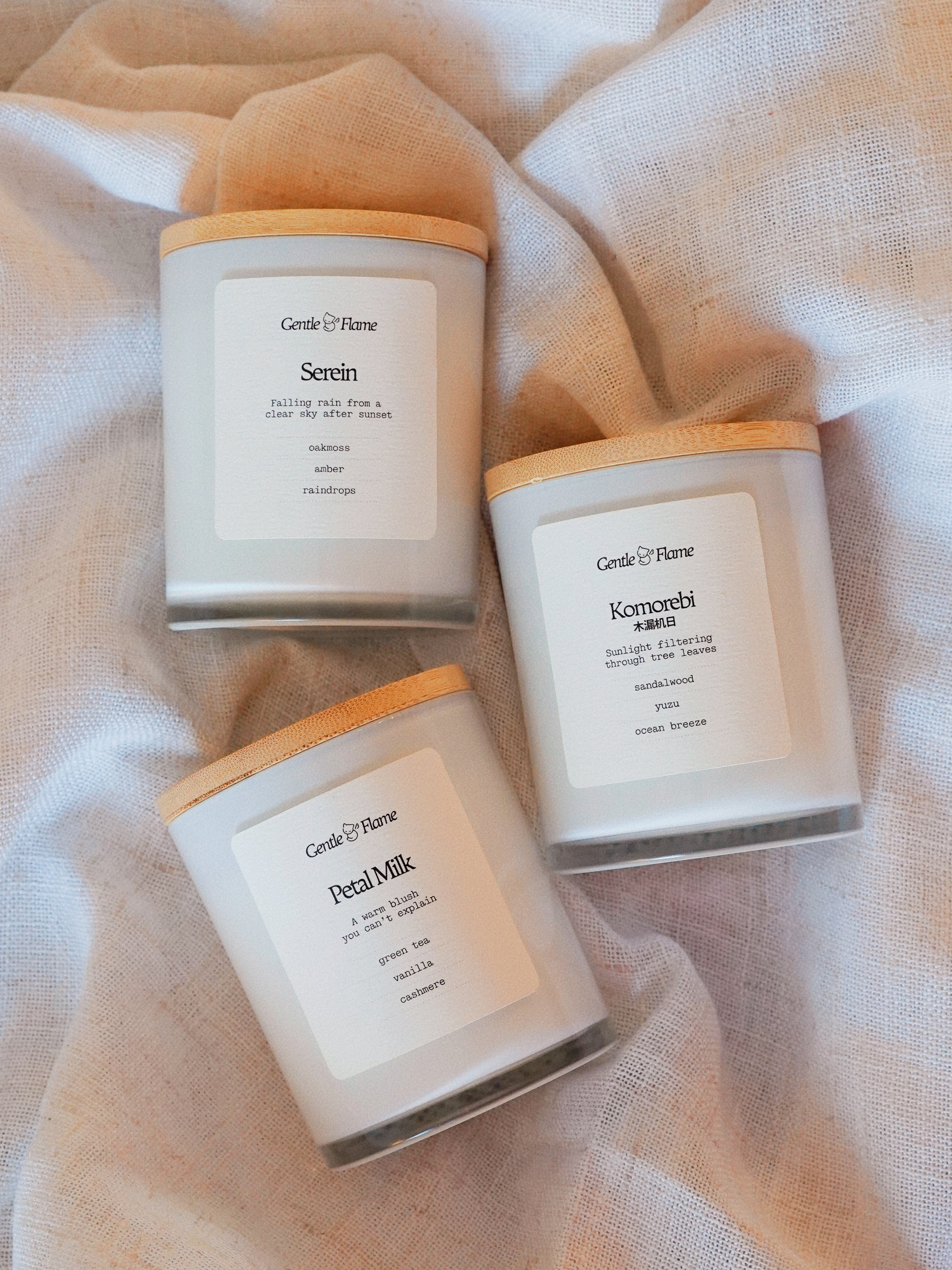 Signature Bestsellers Trio