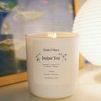 Juniper Tree Glass Candle