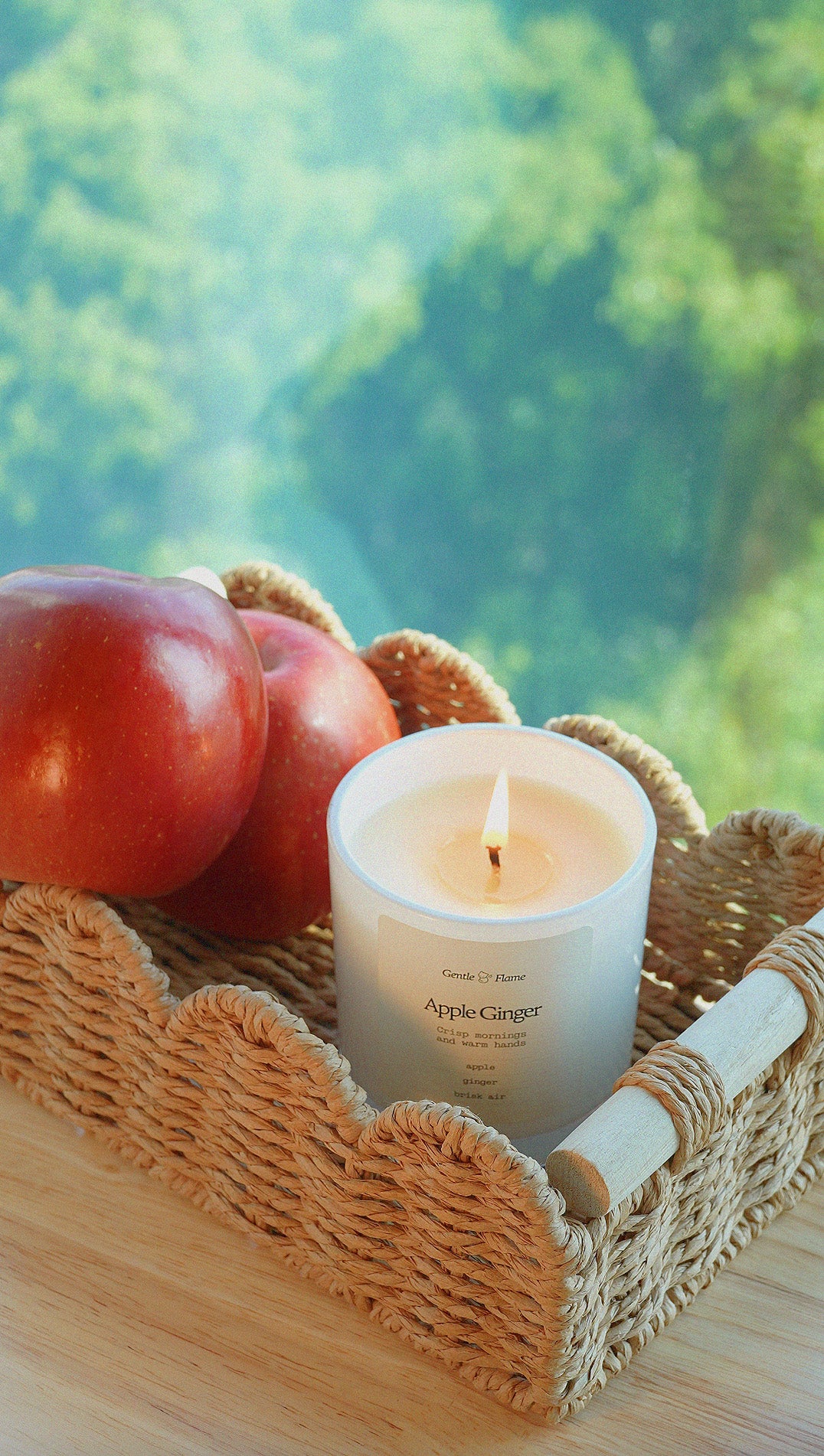 Apple Ginger Standard Candle